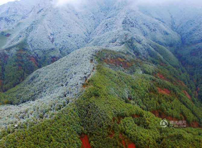 　　2016年11月30日，云南曲靖会泽县喜降瑞雪，森林覆盖的群山，一面披着洁白的雪衣，一面仍然是青山苍翠。