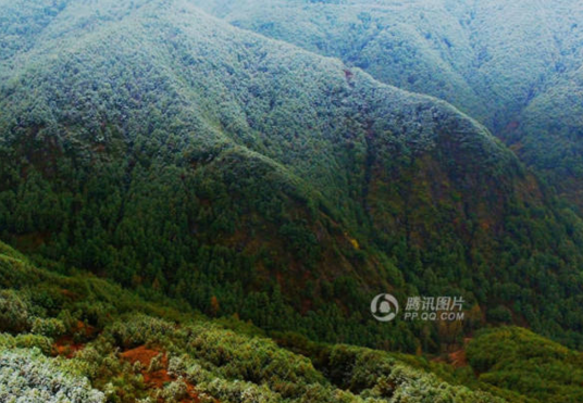 　　云南曲靖会泽县喜降瑞雪，森林覆盖的群山披上雪衣。