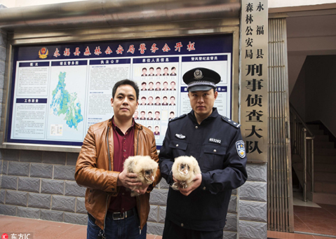 　　广西桂林市永福县森林公安局，吴先生（左）捡到的两只猴面鹰幼鸟。