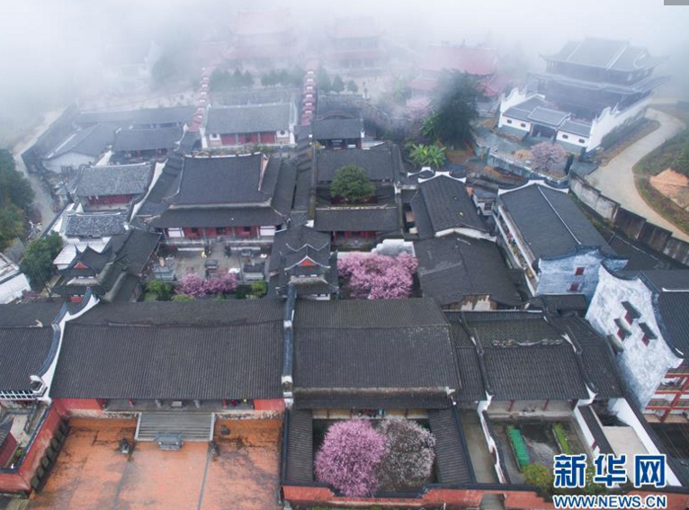 　　近日，位于福州北峰山区的千年古刹林阳寺梅花相继绽放，在云雾缭绕之下美不胜收。