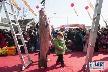 江苏海安举办冬季捕鱼节 “鱼王”比孩子还大