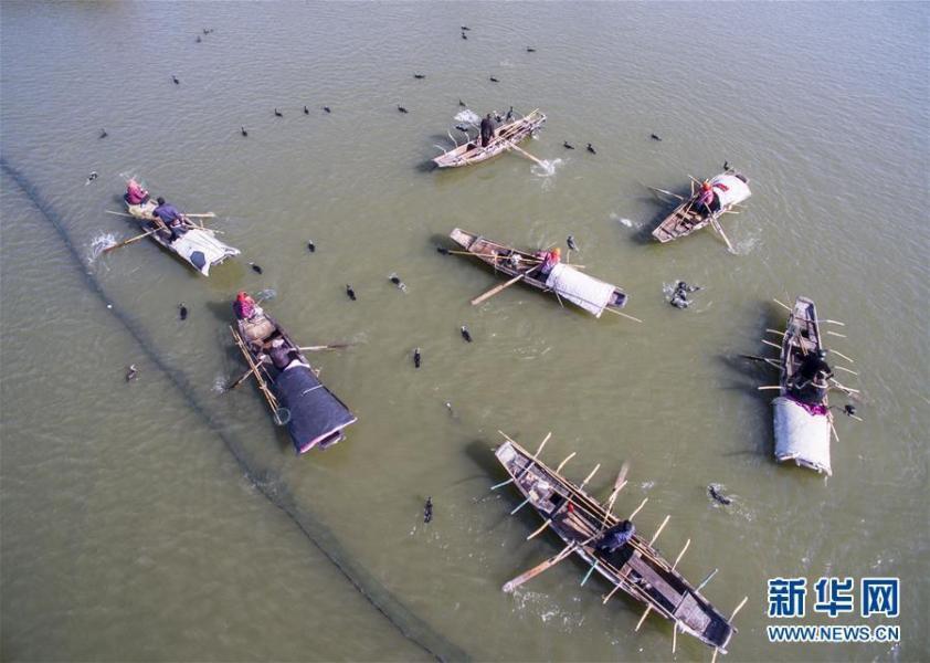 当日，江苏省南通市海安县白甸镇举办第六届“鱼跃里下河”冬季捕鱼节。