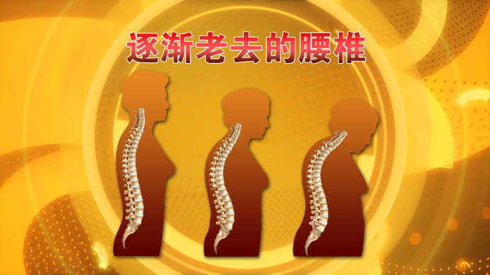2016年2月17日播出《走进腰椎的3D世界》