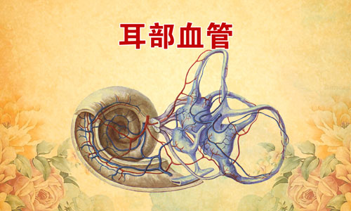 《养生堂》