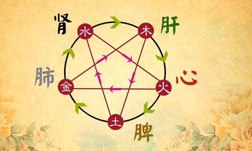 五行对应五脏图