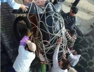 416斤大海龟惨遭屠宰 龟肉被抢购一空