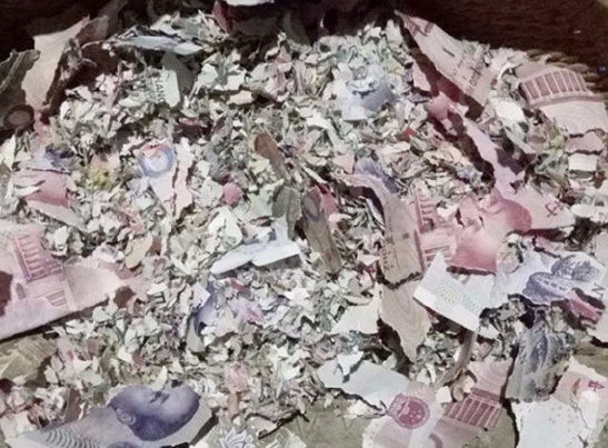 　　纸币碎片。