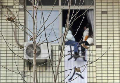 　　今年20岁的小贾是陕西航天职工大学2014成人高护班的大三学生，12月初，刚刚完成医院实习的她迟迟没有收到参加护士资格证考试通知，和同学一起到学校咨询，才得知因为不符合报考资格，无法报考。昨日中午，因与校方多次沟通无果，小贾的两位同学——小马和露露突然坐到4楼一间教室的窗台上，将教室门反锁，“如果学校领导不出面解释，就跳下去。”