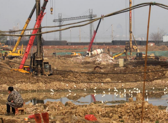 　　武汉市中心一闲置多年的工地里，洼地积雨成塘，里面生长着无数小鱼，平时不少市民到此钓鱼。2016年下半年工地开工，水面缩小、变浅，竟引来一群野生白鹭在此集聚，以吃浅水中的小鱼为生。