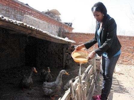 图为嫁入中国农村的非洲女孩在喂鸭食。