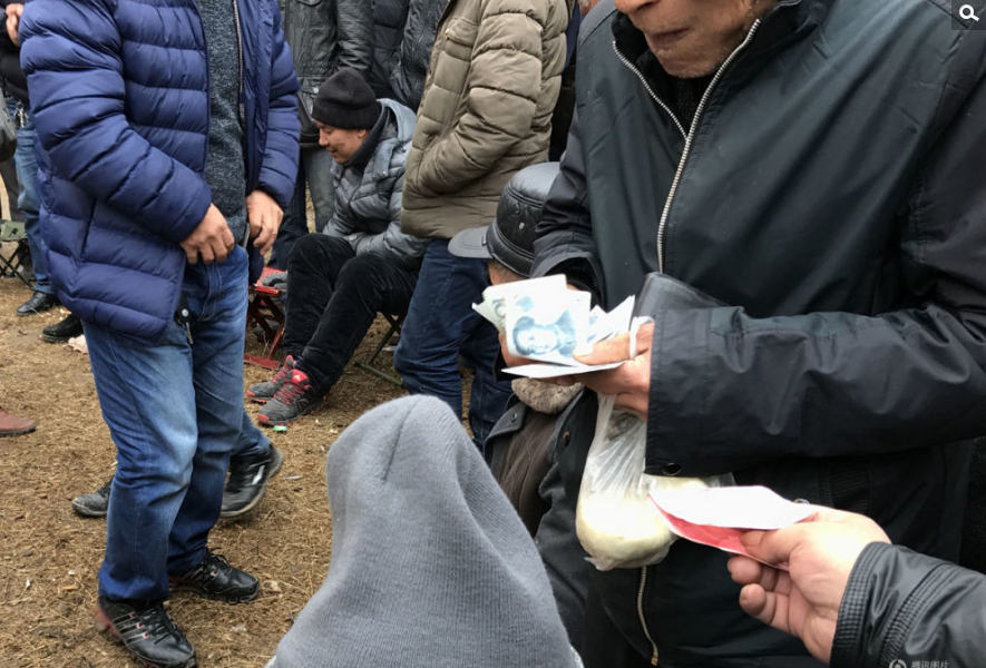 据悉，每次战斗只有2只“战鸡”参与，一轮游戏结束后将有其他“战鸡”轮番上场。