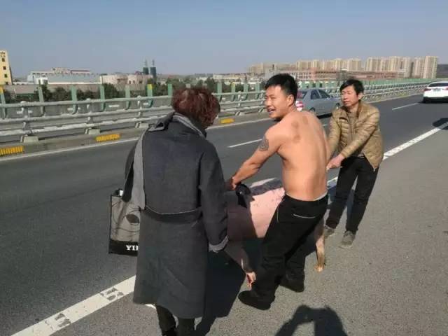 小陈说自己本来是把这些猪从临安运到杭州勾庄的屠宰场，为了运猪，车头加装了一圈60厘米高的栅栏，但在高速公路上行驶时，还是有一头猪从车上跳了下来，这一头猪300多斤，价值好几千块钱，他连忙把车子靠边停下来抓猪。他把身上的衣服脱下来，两边袖子卷起来，当同伴再次把猪围住时，他一下骑到猪身上，用衣服套住猪脖子，再打了个结，大肥猪才被控制住。