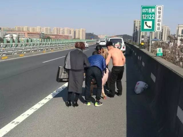根据交通安全法的规定，机动车载物行驶时遗洒、飘散载运物的，处以200元以下罚款。如果因为遗洒、飘散的载运物导致交通事故发生的，要承担相应的事故责任。所以，车辆上路之前，一定要对所运货物进行安全检查，以防货物掉在路上危害了别人的行车安全。看到小陈光着膀子，为了抓猪冻得连打喷嚏，民警对他进行了批评教育。高速交警表示，每年都有因为车辆运载的牲畜在高速公路上逃跑而引发交通事故，一定不能马虎。